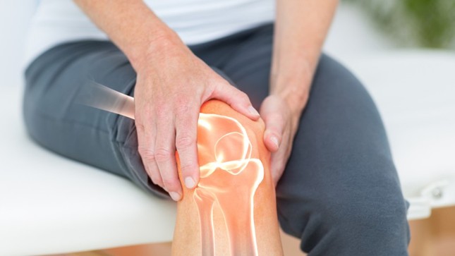 Bách Hoạt Trần Quý: Bước tiến mới trong phòng ngừa và cải thiện bệnh xương khớp ảnh 1