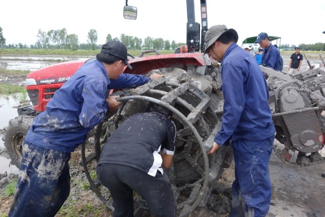Giới thiệu Viện nghiên cứu nông nghiệp Yanmar, Việt Nam ảnh 3