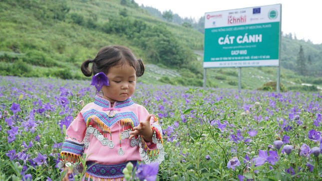 Ho-cảm Ích Nhi: Hơn một thập kỷ chăm sóc sức khỏe trẻ em Việt ảnh 2
