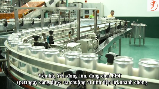 Đưa Yến Sào Cần Giờ vươn xa ảnh 1