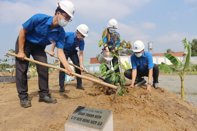 KĐN tiếp tục Chương trình trồng cây năm 2021 tại Bà Rịa ảnh 1