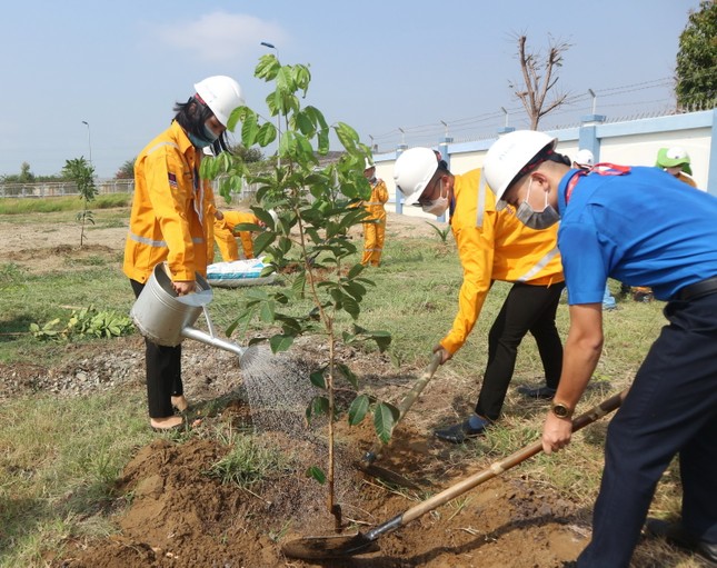 KĐN tiếp tục Chương trình trồng cây năm 2021 tại Bà Rịa ảnh 2