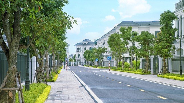 Thị trường bất động sản thích nghi với dịch COVID - 19 ảnh 1