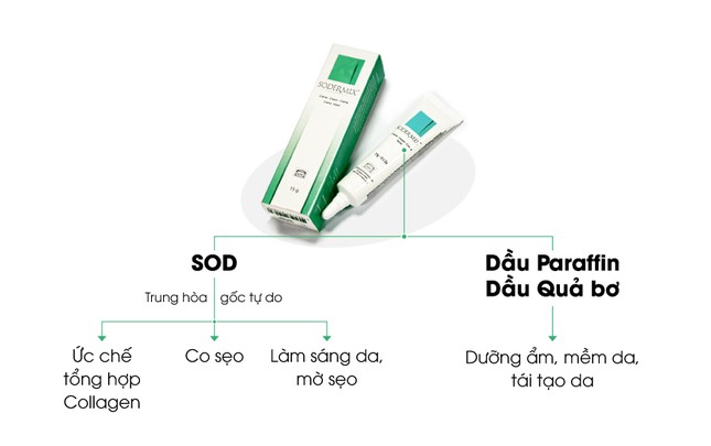 Sodermix - Kem bôi nhận được sự quan tâm của các chuyên gia da liễu ảnh 4