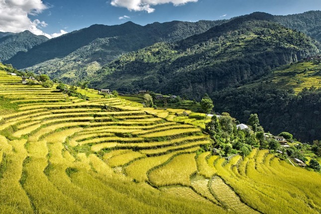 Villa Pù Luông Bocbandi Retreat - Hàng hiếm đẻ trứng vàng ảnh 2