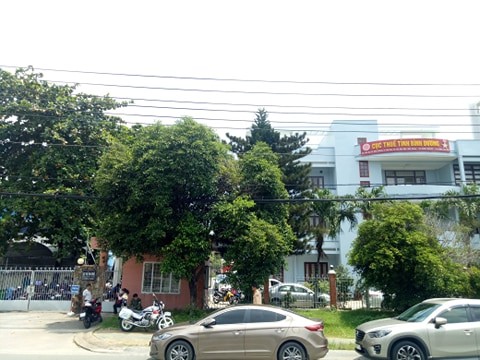 Tổng cục Thuế lên tiếng vụ '2h chiều Cục Thuế Bình Dương vẫn chưa hoạt động' ảnh 1