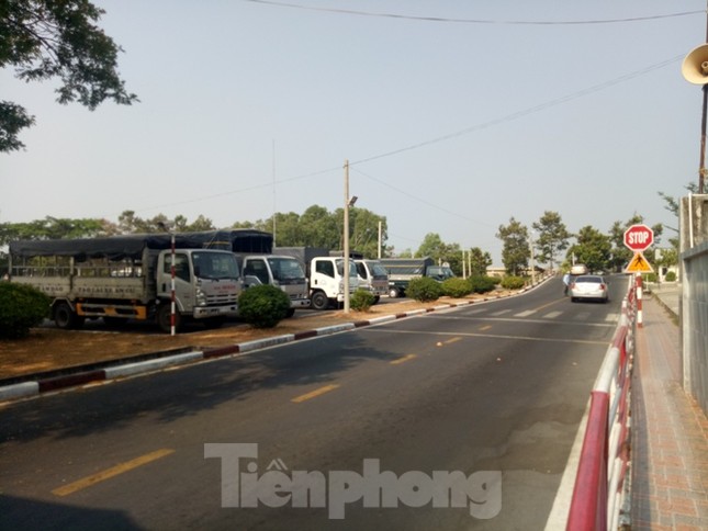 Trường lái ồ ạt sát hạch trước giờ lệnh cấm có hiệu lực ảnh 1