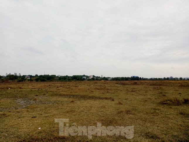 Cận cảnh khu đất khiến lãnh đạo Cty Thiên Phú bị bắt ảnh 7