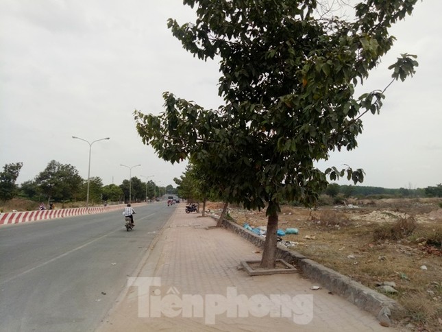Cận cảnh khu đất khiến lãnh đạo Cty Thiên Phú bị bắt ảnh 3