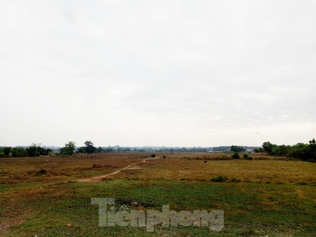 Cận cảnh khu đất khiến lãnh đạo Cty Thiên Phú bị bắt ảnh 8