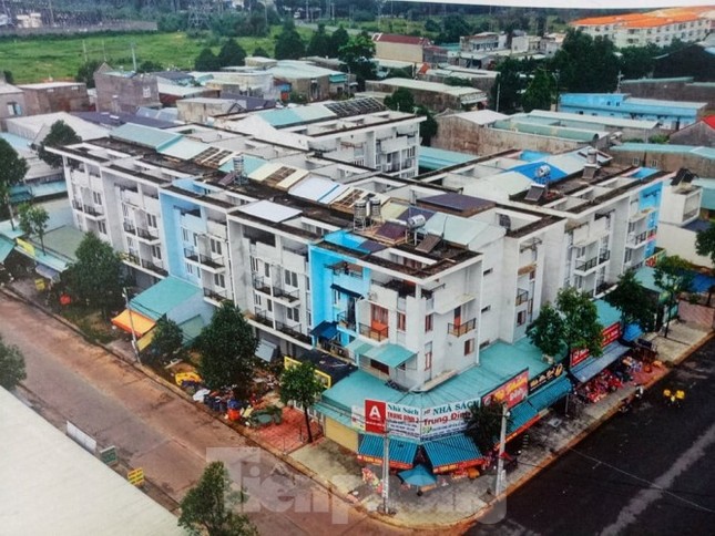 Vì sao lãnh đạo công ty Kim Oanh bị tạm hoãn xuất cảnh? ảnh 1