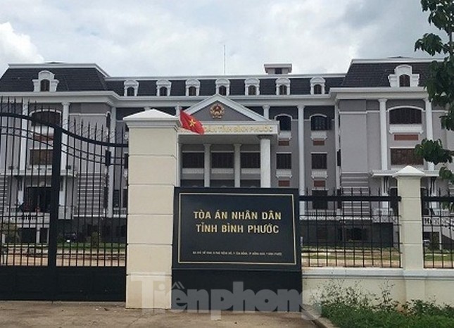 Vụ bị cáo uống thuốc tự tử tại tòa: Ra quyết định thi hành án tù giam ảnh 2