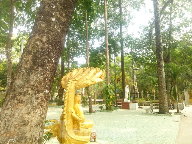 Bí ẩn ngôi chùa tưởng nhớ vị thiền sư chịu hàng ngàn con đỉa hút máu giúp dân canh tác ảnh 4