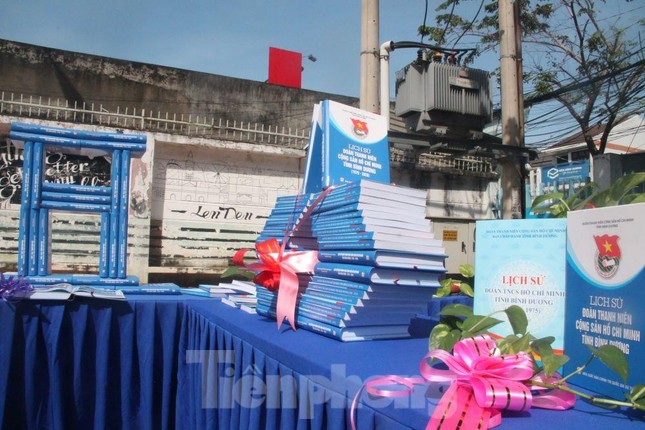 Bình Dương tuyên dương tình nguyện viên chống dịch ảnh 11