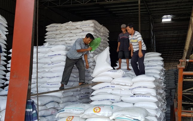 Trong khó khăn kép, ĐBSCL vẫn thắng lớn vụ lúa Đông Xuân ảnh 2