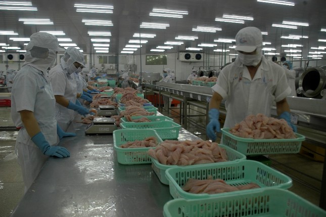 Ngành thủy sản điêu đứng vì dịch COVID -19 ảnh 2