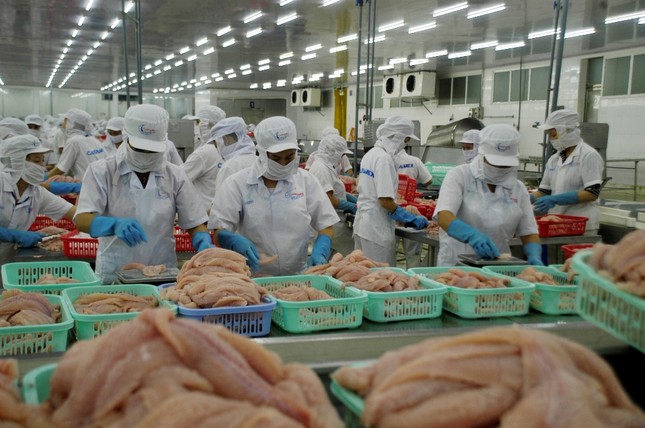 Xuất khẩu cá tra tiếp tục tăng trưởng âm ảnh 1