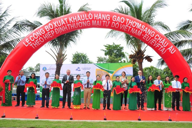 Xuất khẩu lô hàng gạo thơm đầu tiên sang châu Âu theo hiệp định EVFTA ảnh 1