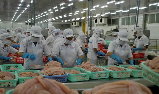 Dù ảnh hưởng COVID-19, doanh nghiệp giải thể ở ĐBSCL vẫn giảm mạnh so với cùng kỳ ảnh 1