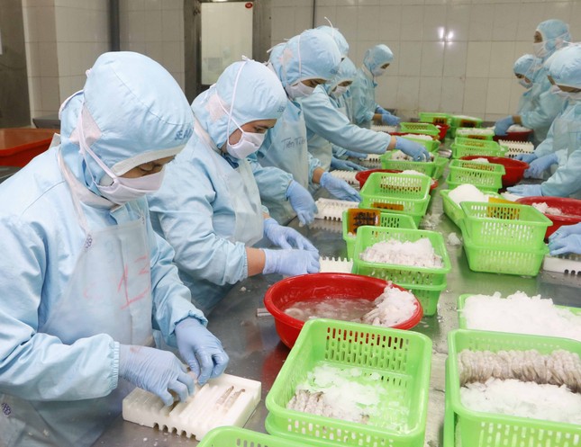 Xuất khẩu tôm sang EU tăng trưởng cao nhất kể từ đầu năm ảnh 1