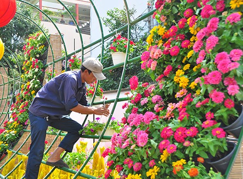 Cận cảnh đường hoa Cần Thơ làm từ 80.000 chậu hoa tươi ảnh 1