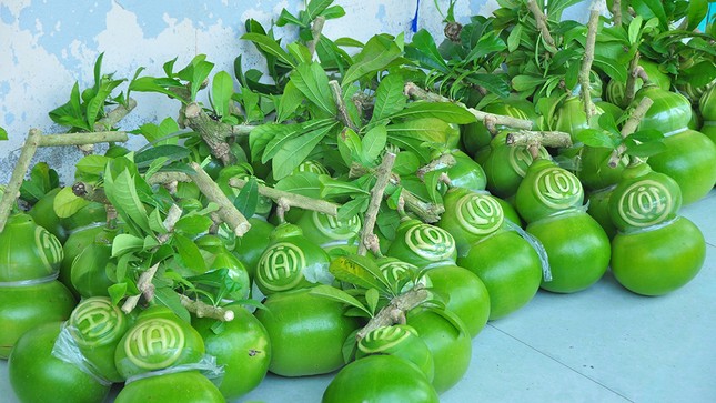 Mê mẩn với vườn đào tiên thư pháp của lão nông miền Tây ảnh 10