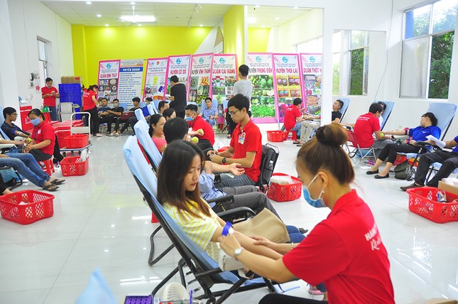 Tưng bừng Ngày hội sắc đỏ Tây Đô ảnh 1