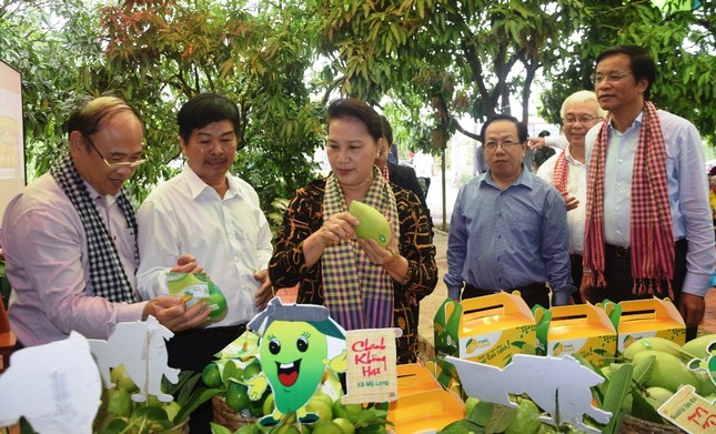 Trưởng Ban Tổ chức Trung ương: Đồng Tháp dần chấm dứt cảnh 'qua sông phải luỵ đò' ảnh 1