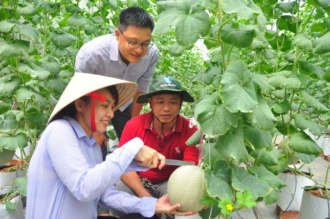 Việt Nam nằm trong top 3 hệ sinh thái khởi nghiệp sáng tạo lớn nhất Đông Nam Á ảnh 1