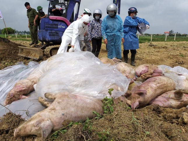10 Sự kiện tiêu biểu năm 2019 ảnh 9