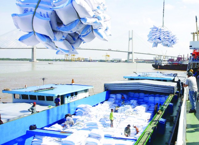 10 Sự kiện tiêu biểu năm 2019 ảnh 2
