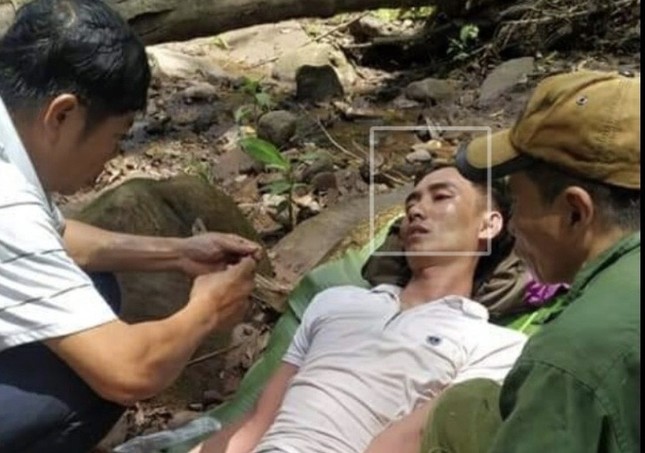 Vào rừng lấy mật, bị ong đốt nguy kịch ảnh 1