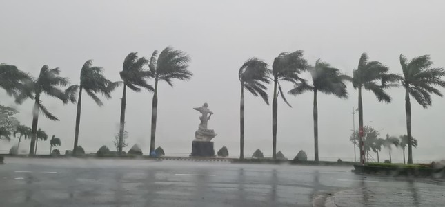 Mưa bão trắng trời Quảng Bình, nguy cơ ngập lụt trên diện rộng ảnh 1