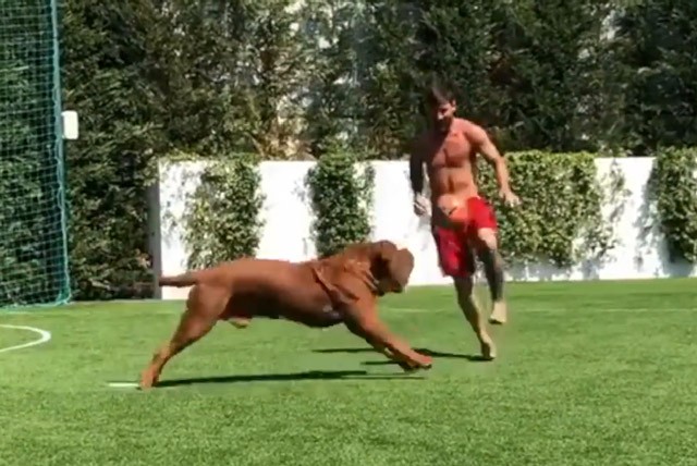 Clip: Messi phô diễn kỹ thuật cá nhân điêu luyện bên cạnh cún cưng ảnh 1