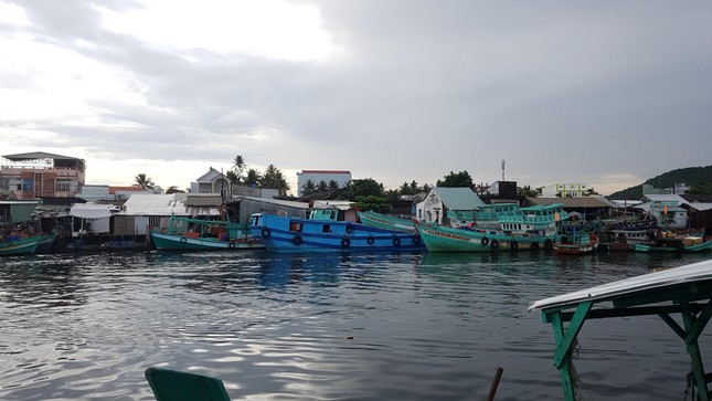 Sông, rạch ở đảo ngọc Phú Quốc ngày đêm bị 'bức tử' ảnh 1