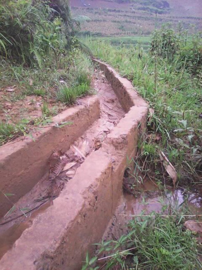 'Bị' tài trợ thoát nghèo ảnh 2