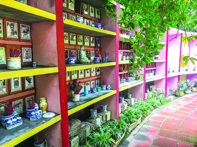 Hà Nội có Nguyễn Bảo Sinh... ảnh 3