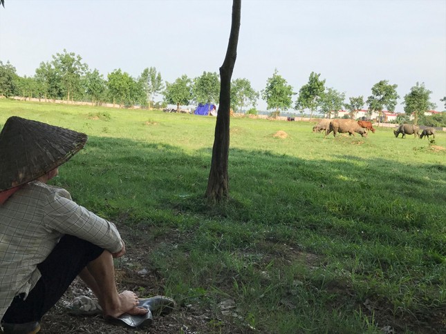 Tái xuất đô thị 'ma'? ảnh 1