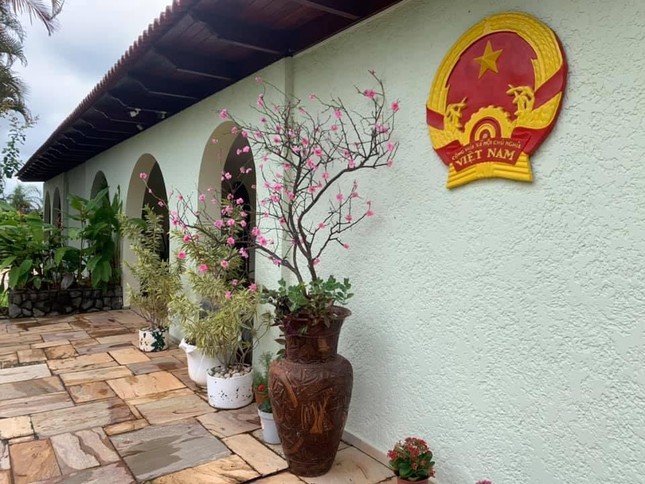 Hoa mai, hoa đào, bánh chưng xanh nơi tâm dịch COVID-19 lớn thứ ba thế giới ảnh 1