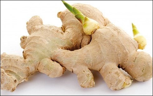 Những loại củ mọc mầm cực độc, biết mà tránh kẻo 'tàn đời' ảnh 1