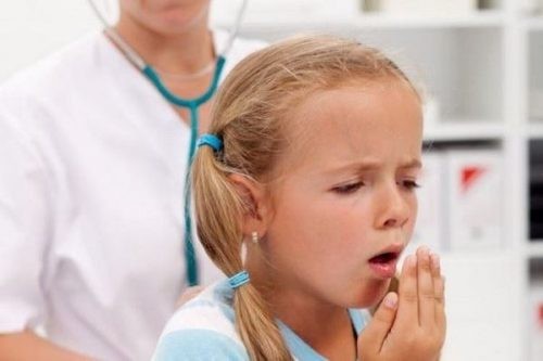 Tôm cực bổ nhưng ăn kiểu này vừa mất hết chất, vừa 'rước họa vào thân' ảnh 1