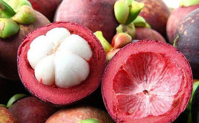 Ăn mướp đắng cần nhớ kỹ những điều này để khỏi 'hạ độc' cơ thể ảnh 3