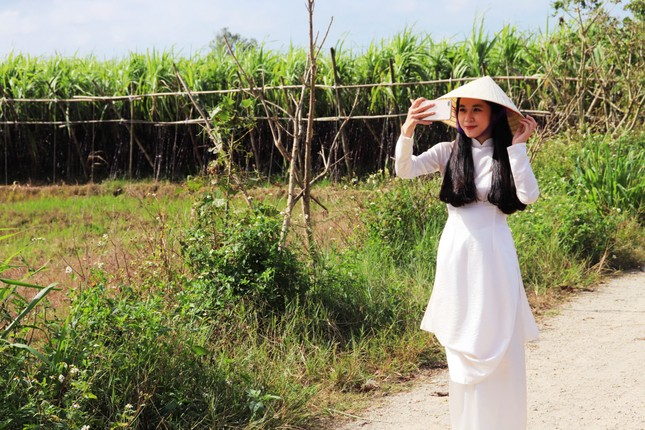 Đổ xô về Huế săn tìm 'cây cô đơn' xuất hiện trong 'Mắt biếc' ảnh 10
