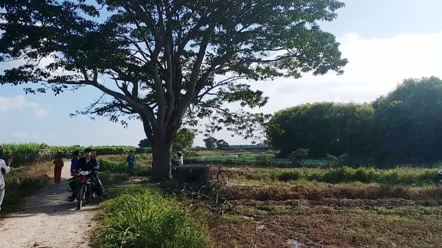 Đổ xô về Huế săn tìm 'cây cô đơn' xuất hiện trong 'Mắt biếc' ảnh 7