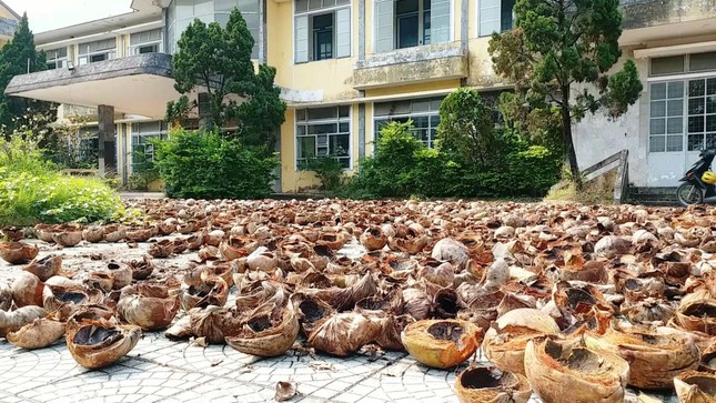 Vì sao cơ ngơi Trường CĐ Công nghiệp Huế ‘mắc cạn’ giữa rác? ảnh 10