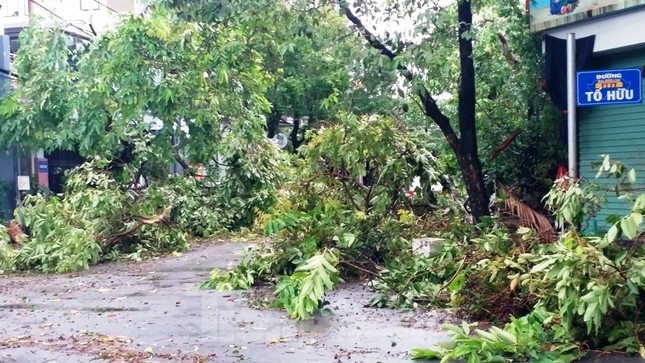 Cây đổ hàng loạt, mất điện, hàng nghìn nhà tốc mái do bão số 5 ảnh 34