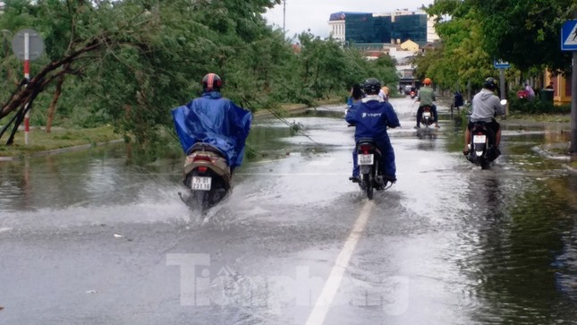 Cây đổ hàng loạt, mất điện, hàng nghìn nhà tốc mái do bão số 5 ảnh 27