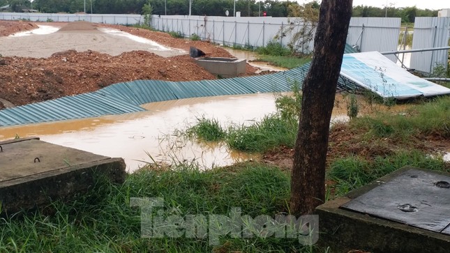 Cây đổ hàng loạt, mất điện, hàng nghìn nhà tốc mái do bão số 5 ảnh 30