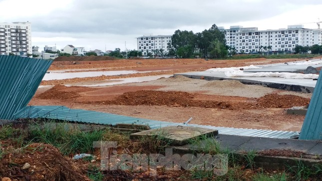 Cây đổ hàng loạt, mất điện, hàng nghìn nhà tốc mái do bão số 5 ảnh 29