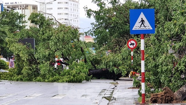 Cây đổ hàng loạt, mất điện, hàng nghìn nhà tốc mái do bão số 5 ảnh 32